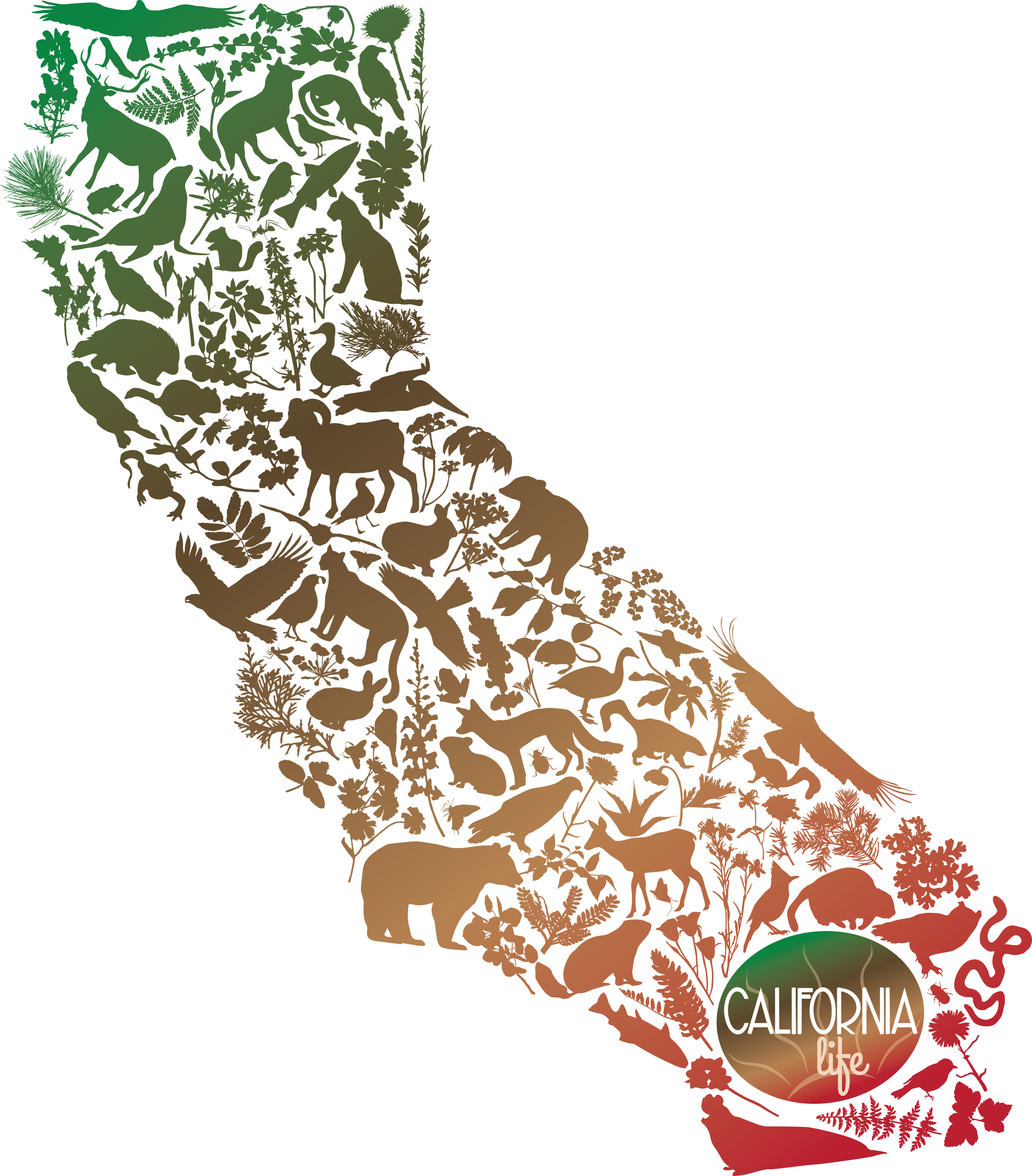 California Wild and Rooted