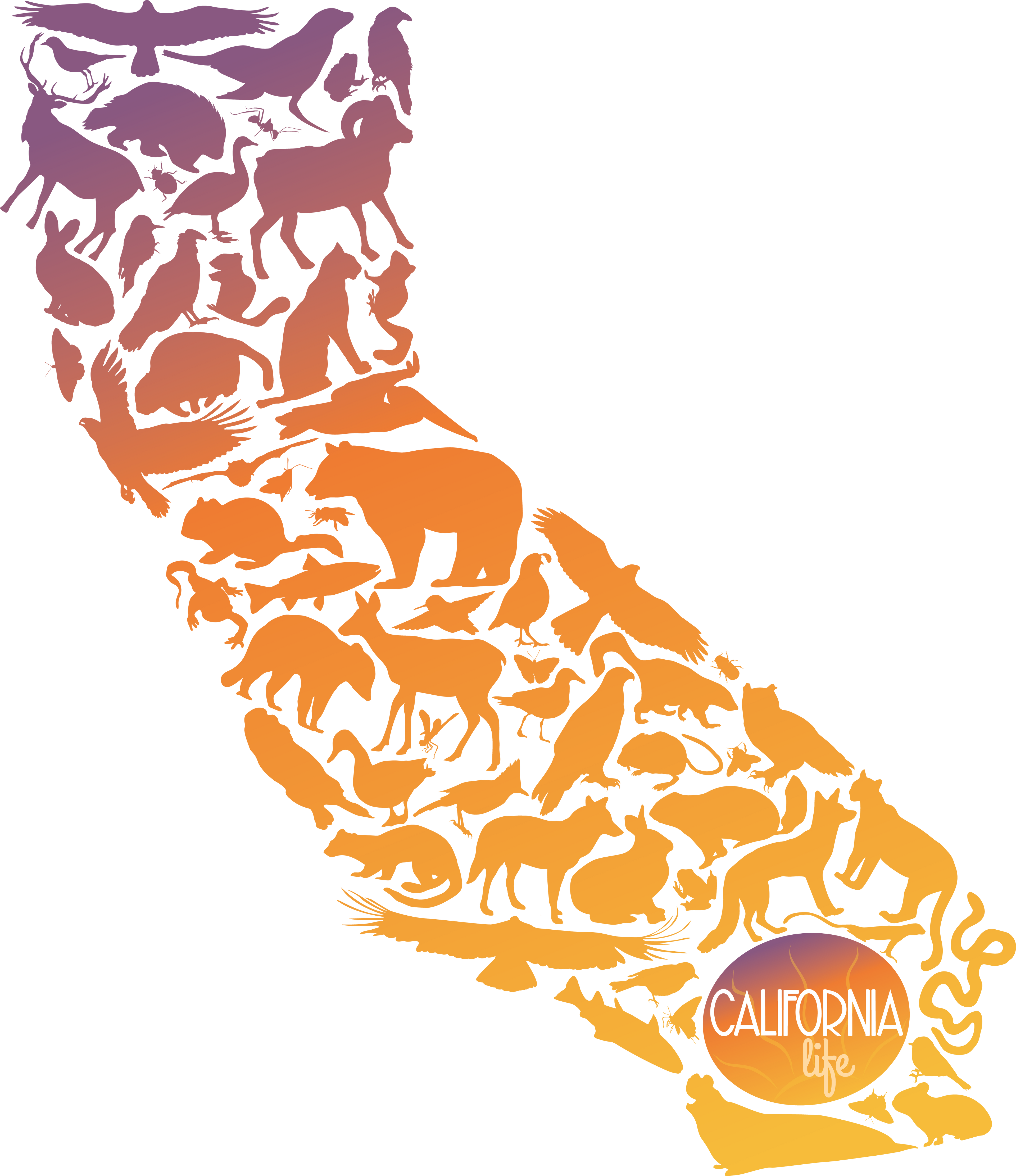 California Wild