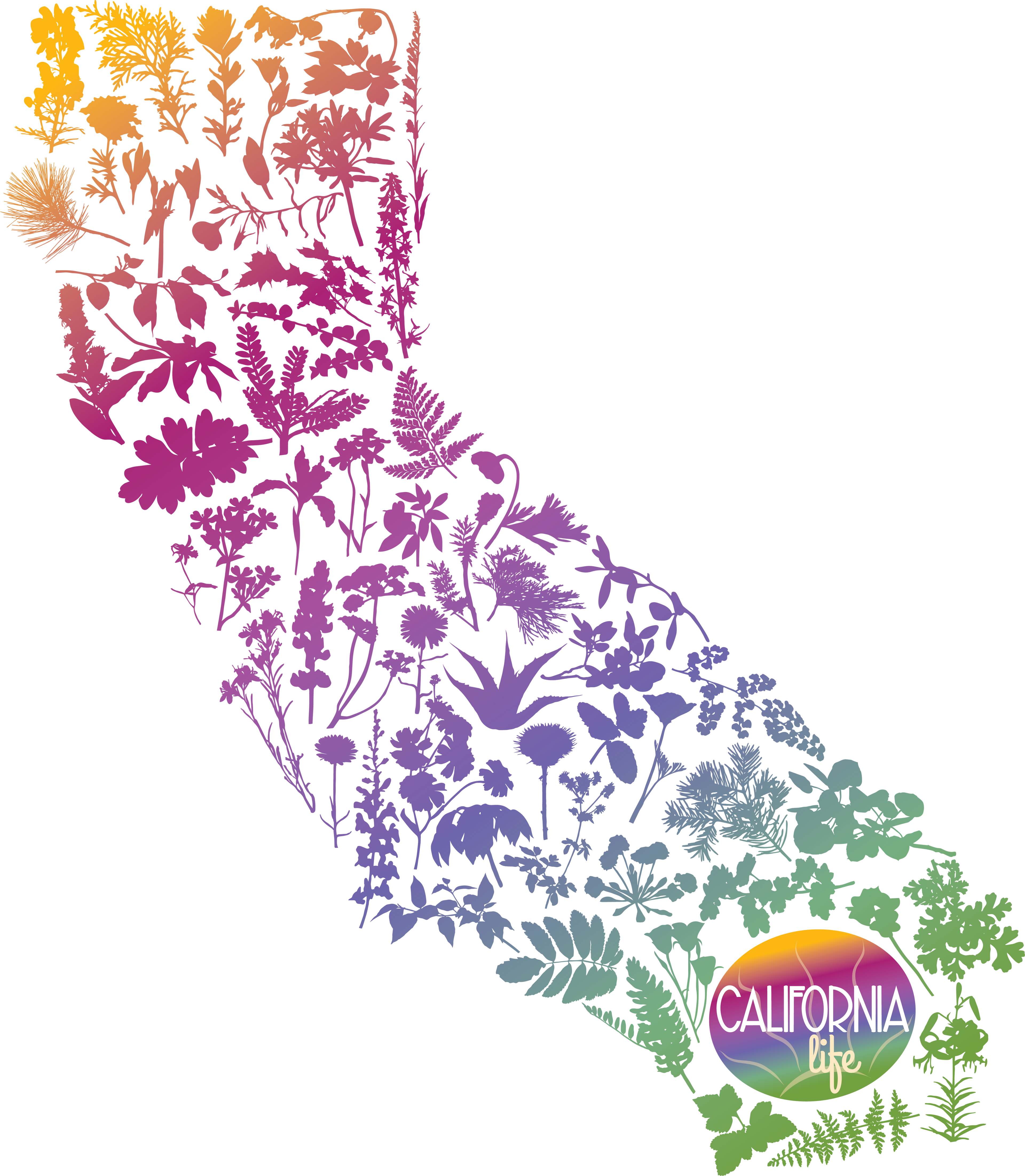 California Rooted